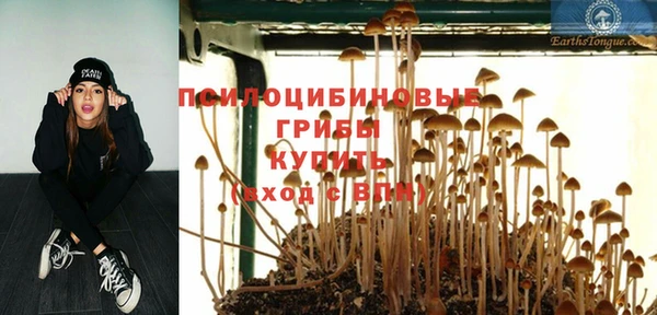 марихуана Абаза