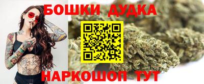 спиды Гай