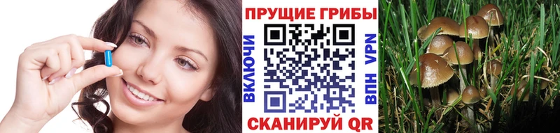 hydra ссылки  наркошоп  Черногорск  Галлюциногенные грибы прущие грибы 